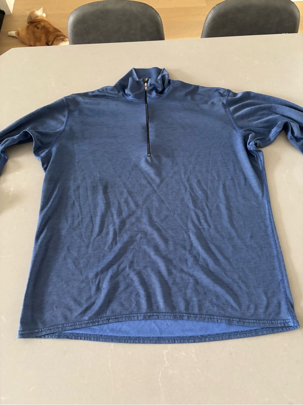 Patagonia Men's Navy Blue Half-Zip Pullover